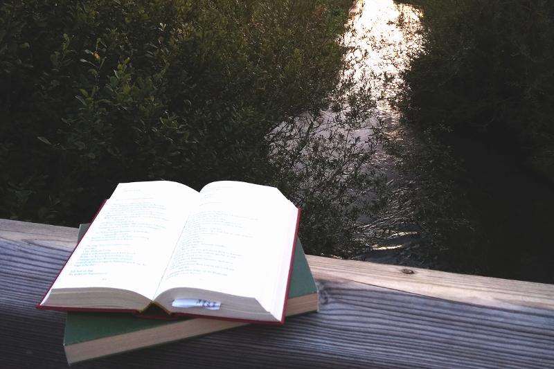 Naturführung: Poetischer Abendspaziergang in den Zugwiesen, © © Brigitte Häusler