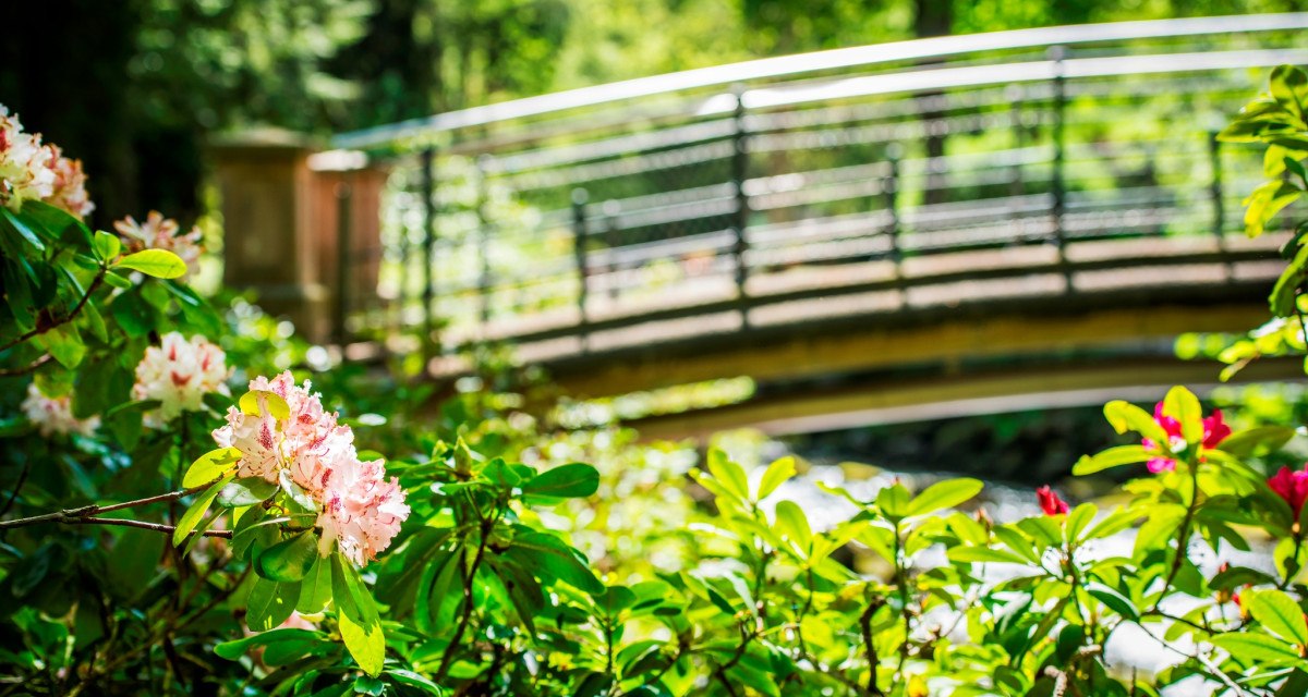 Kurpark Brücke, © Nördlicher Schwarzwald