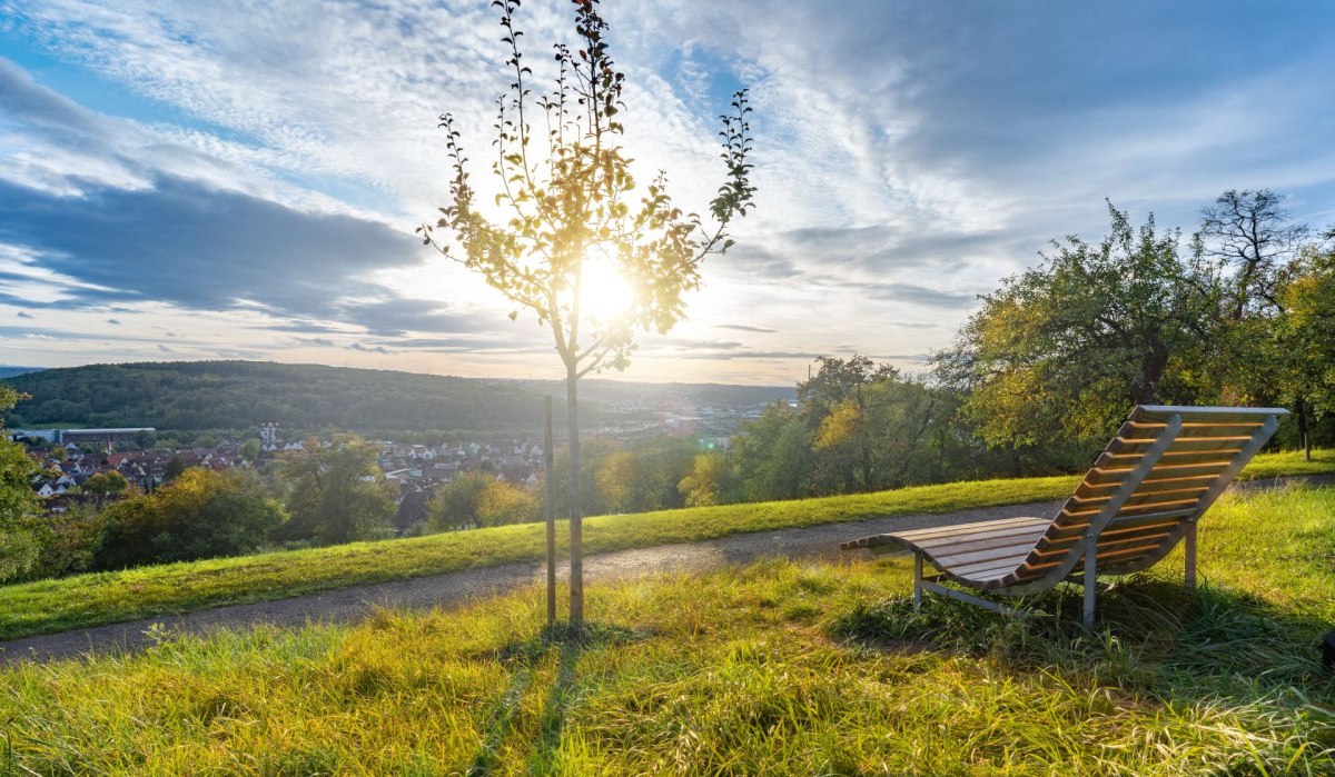 Kleine Pause in den Streuobstwiesen, © Martina Denker