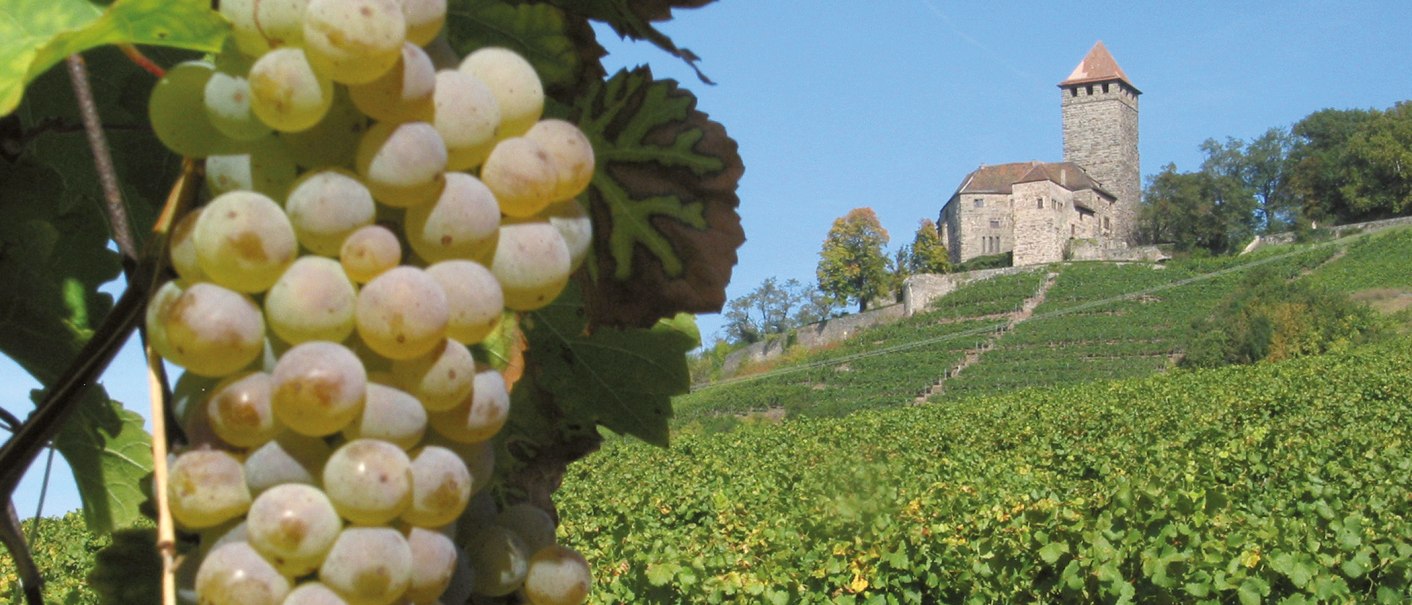 Burg Lichtenberg, © Stuttgart-Marketing GmbH