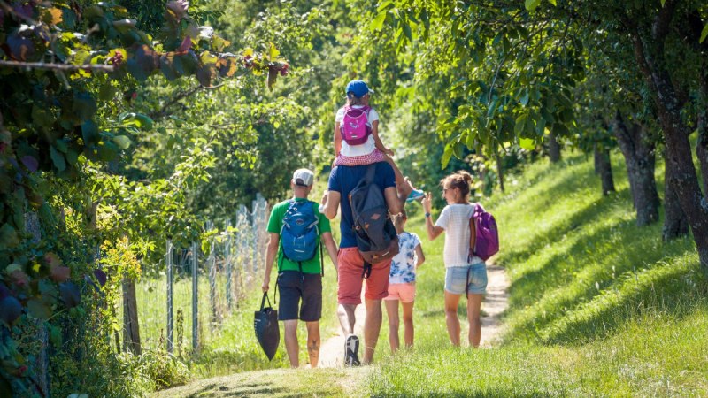 Zwischen Streuobstwiesen, © hochgehberge