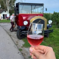 Oldiebus in den Weinbergen mit Weinglas, © Bildquelle: TELB