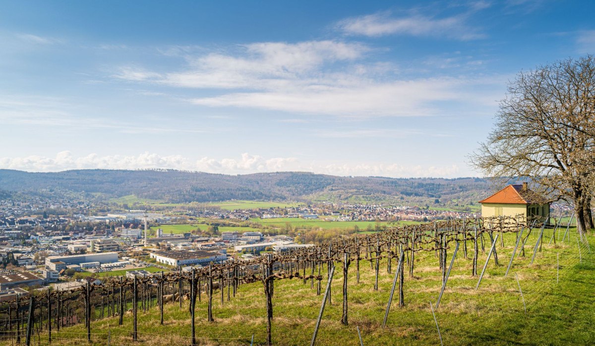 Aussicht vom Grafenberg, © Remstal Tourismus e.V.