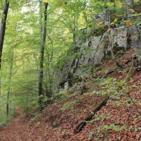 Auf dem Weg zur ehemaligen Ruine Baldeck, © Bad Urach Tourismus