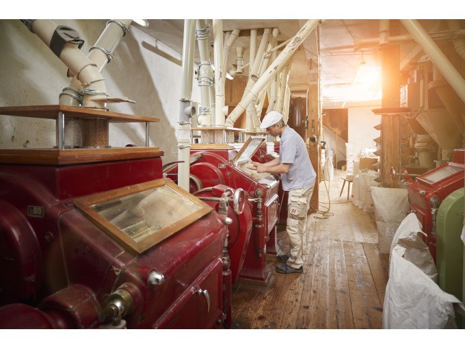 Mühlenführung Hegnacher Mühle, © WTM GmbH Waiblingen