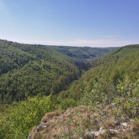 Ausblick Lauereckfels, © Bad Urach Tourismus