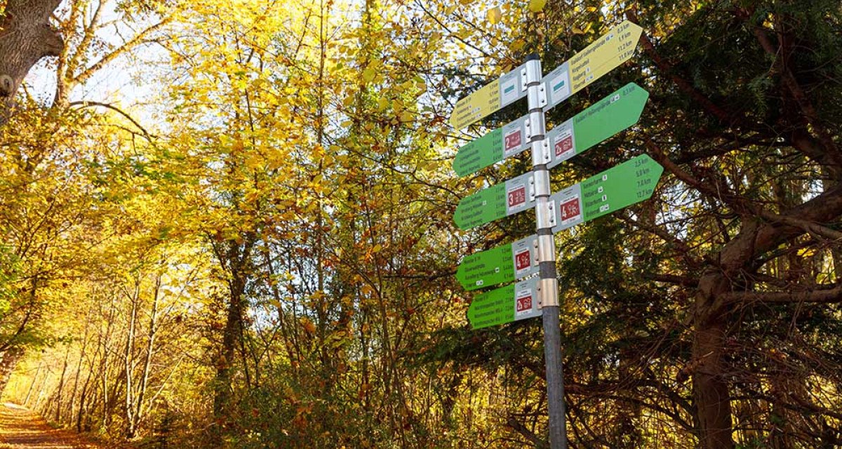 Symbolbild Hauptwegweiser im Herbst auf dem Gaildorfer Rundwanderweg