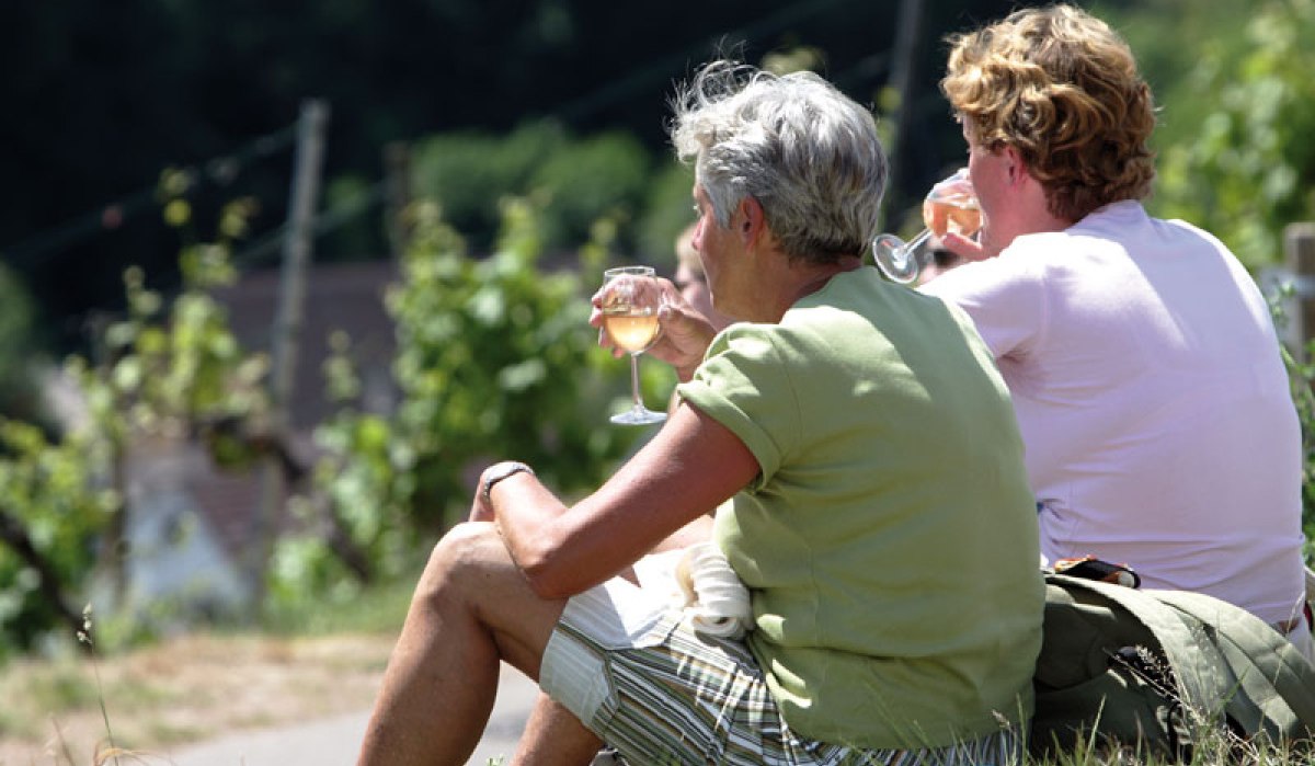 Weinwanderweg Rohracker, © Stuttgart-Marketing GmbH