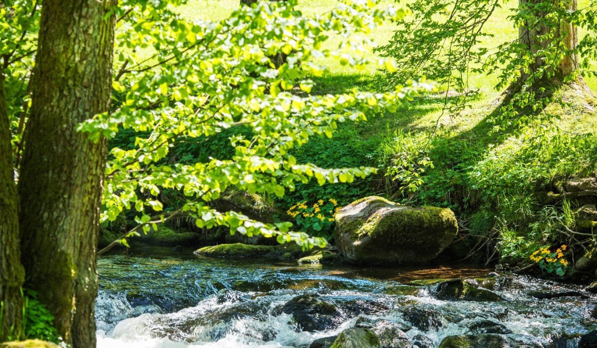 Enz im Kurpark, © Nördlicher Schwarzwald