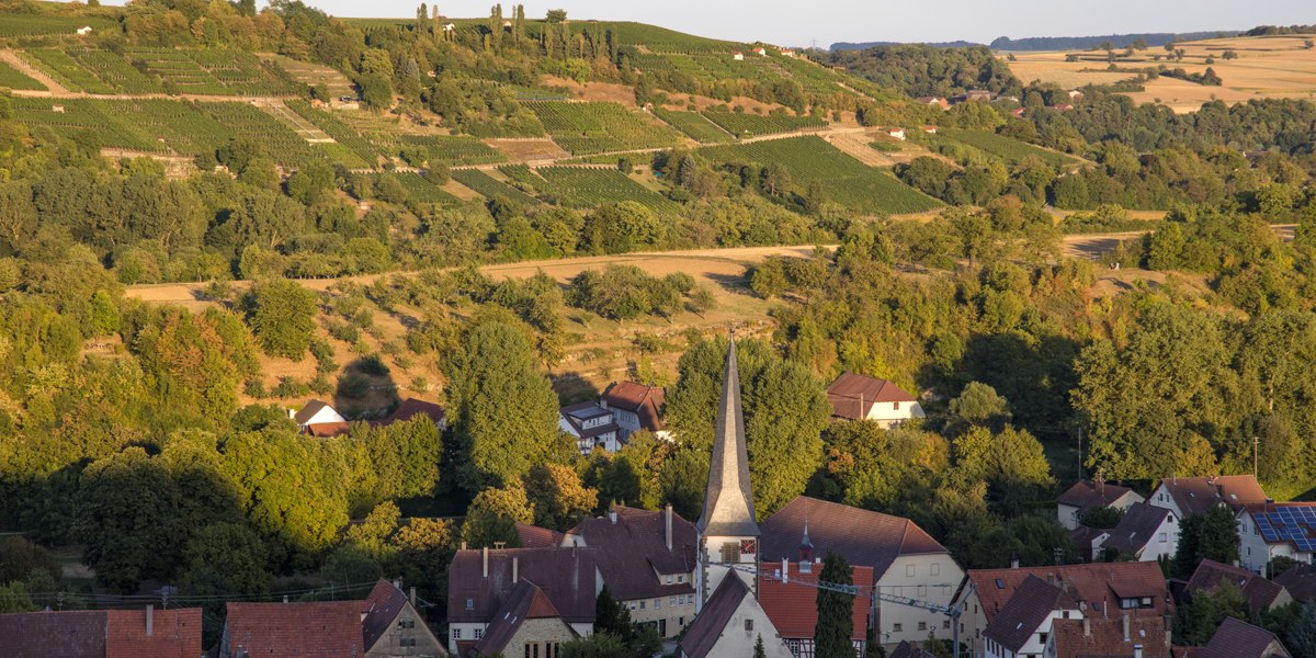 Weinberge um Vaihingen an der Enz, © SMG Mende