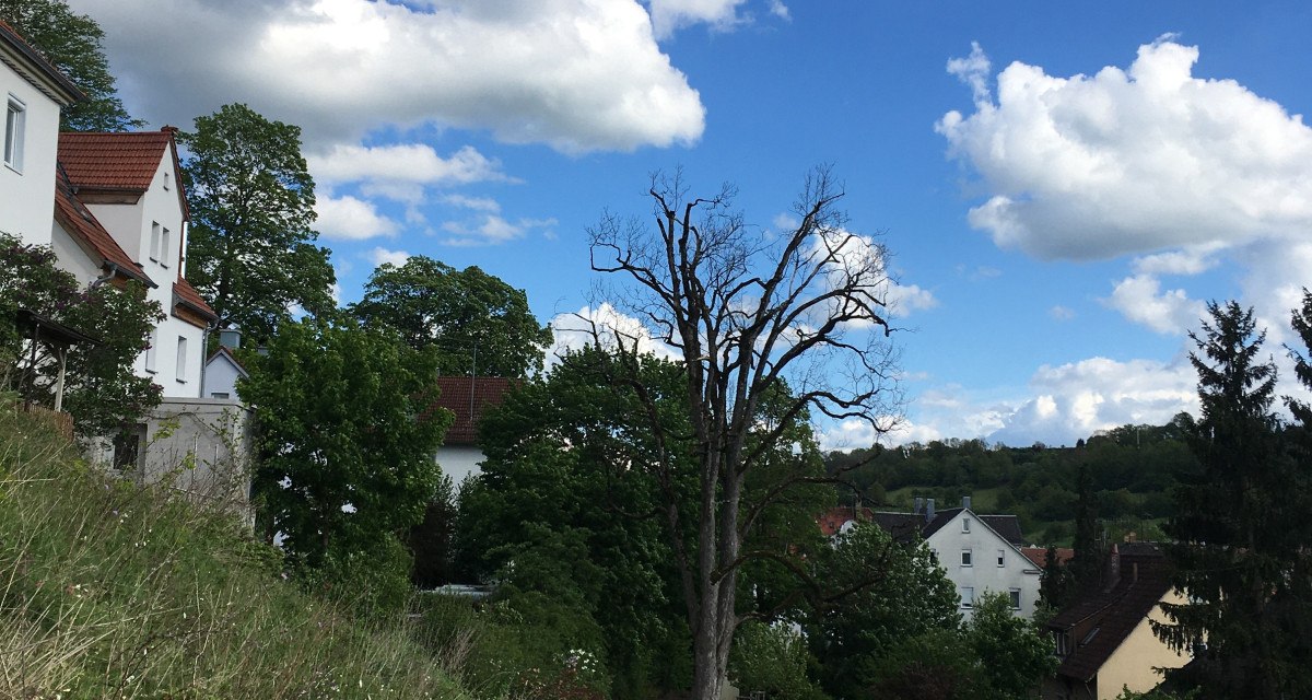 Glücklichtweg am Zeiselberg, © Touristik und Marketing GmbH Schwäbisch Gmünd