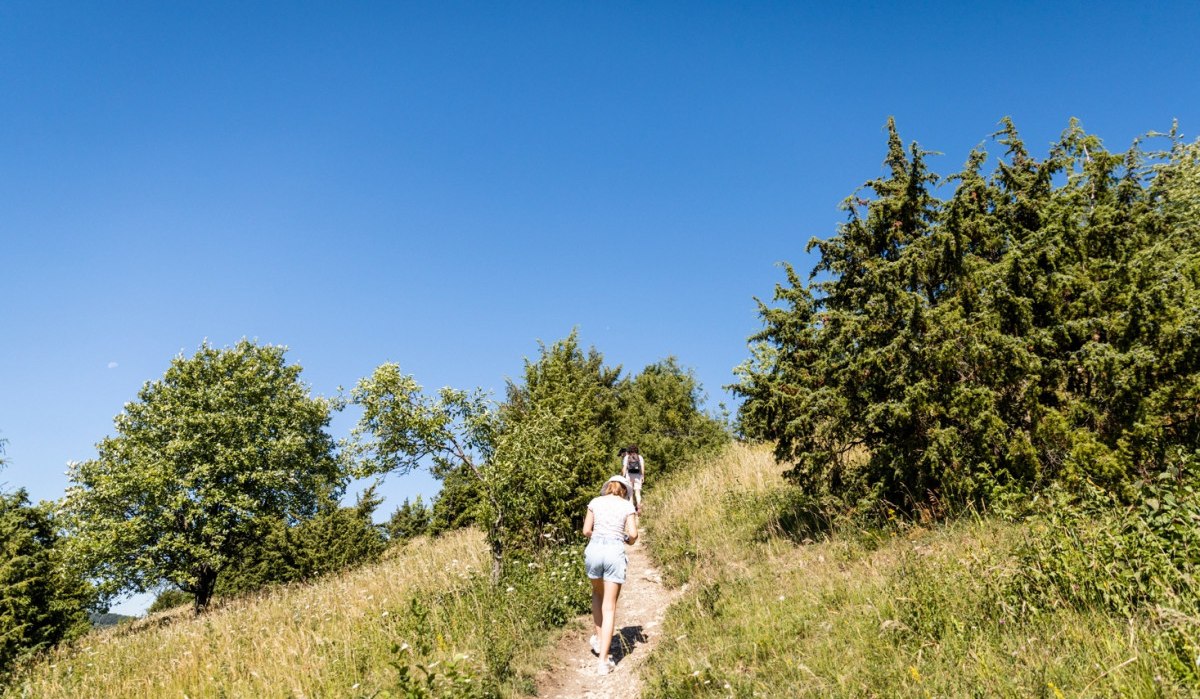 Durch das NSG Haarberg-Wasserberg, © TMBW