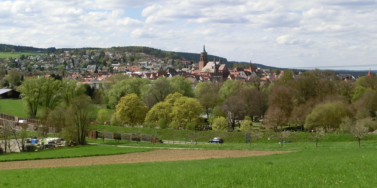 Naturschutzgebiet Mittelberg