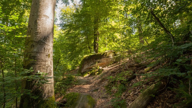 spiegelberg_bodenbachschlucht, © Q-vadis Redaktion