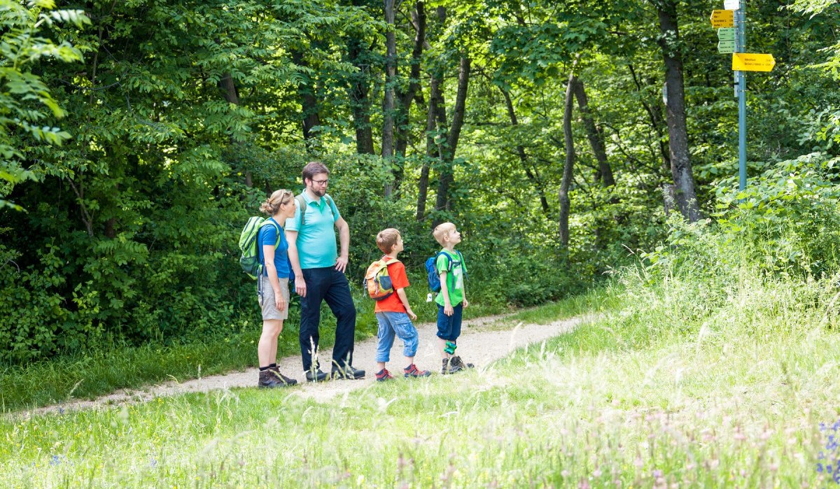 Premiumspazierwanderweg hochgehsiedelt, © hochgehberge