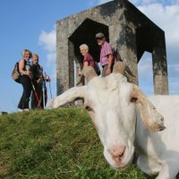 Wanderer stehen mit einer Ziege auf dem Burgberg, © Bad Urach Tourismus