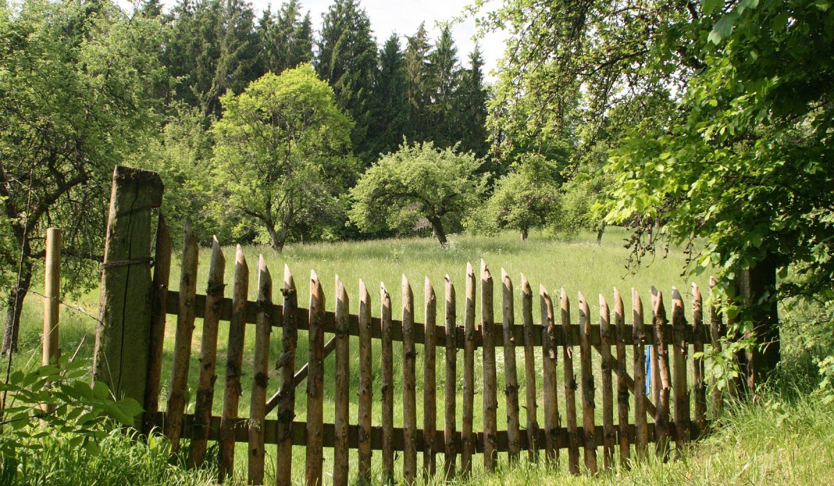 Detail Zaun am Kirgelaufgang am Rundwanderweg 1 in Gaildorf, © Petra Natzkowski