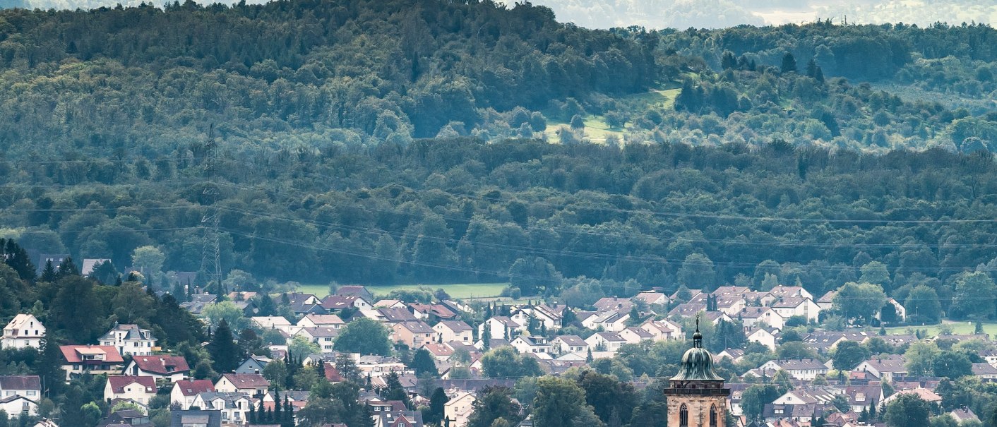 Nürtingen mit dem beeindruckenden Albtrauf im Hintergrund, © Ralf Just