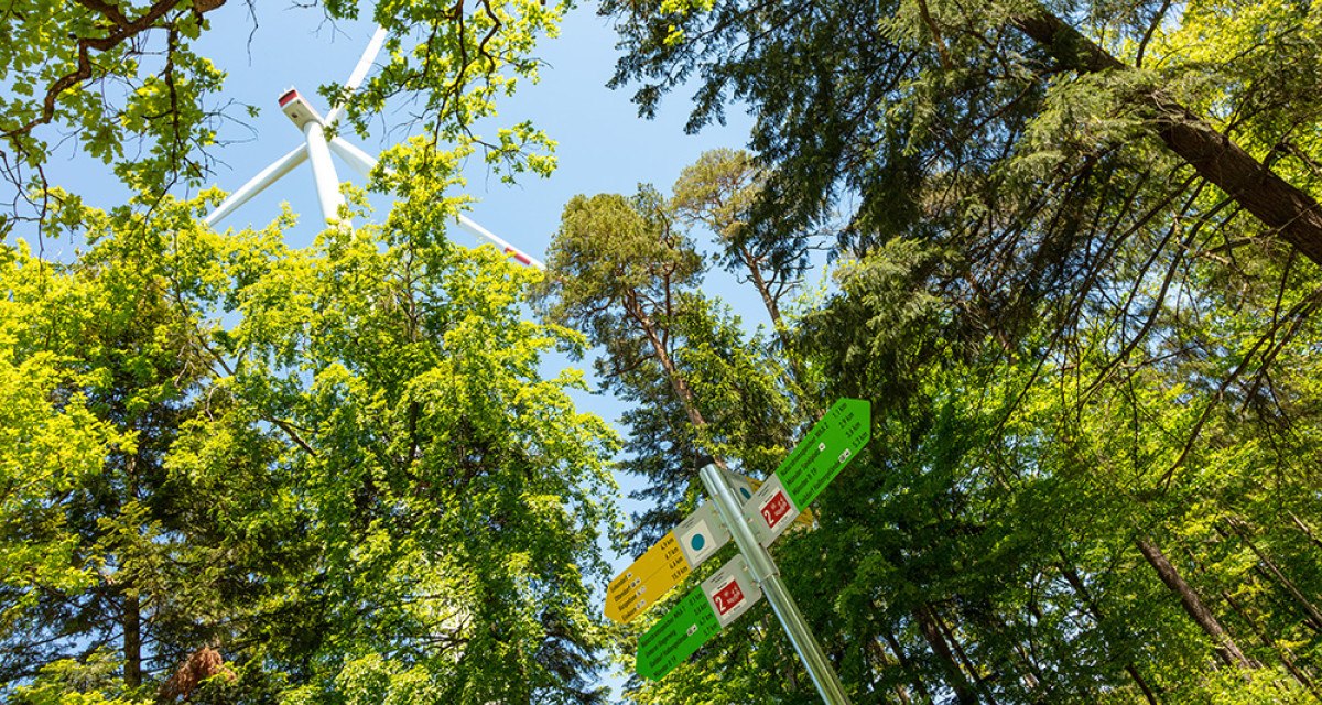 Symbolbild Wanderweg mit Windrad und Hauptwegweiser