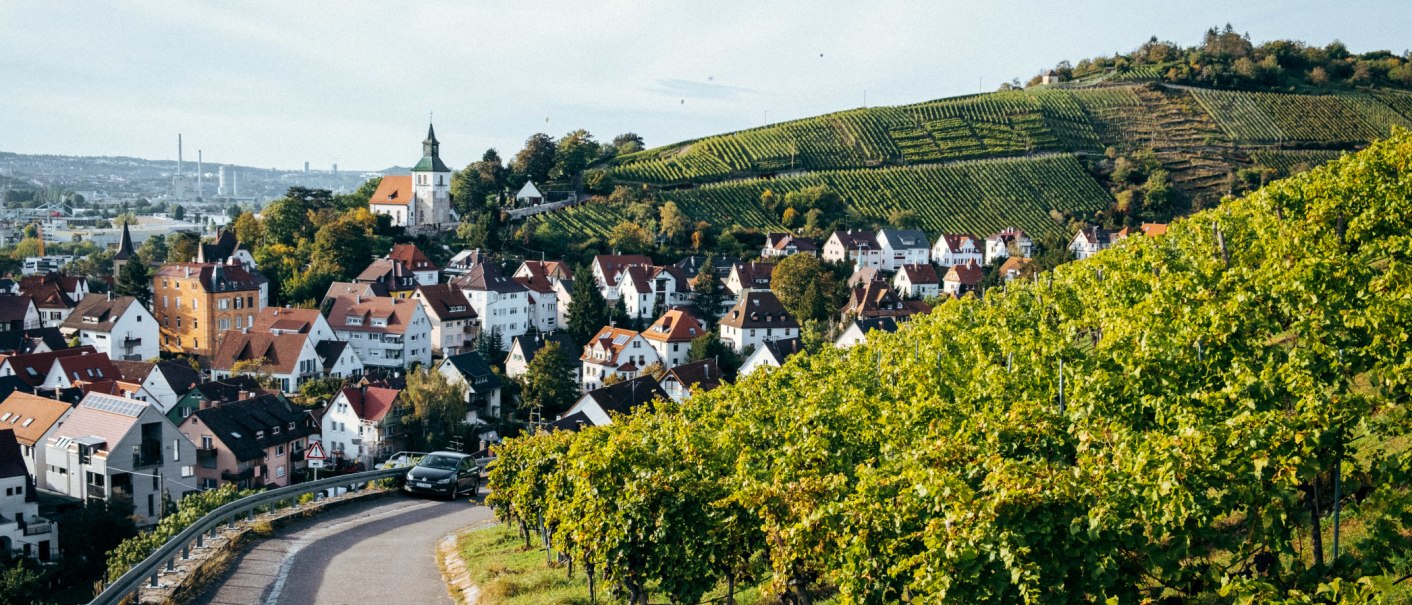 Weinlese beim Weingut Zaiß, © Weingut Zaiß