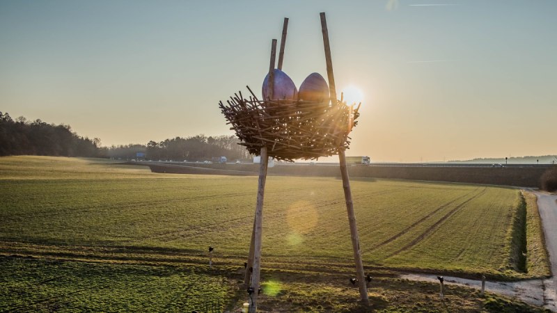 Vogelnest mit Eiern, © Natur.Nah. Schönbuch & Heckengäu