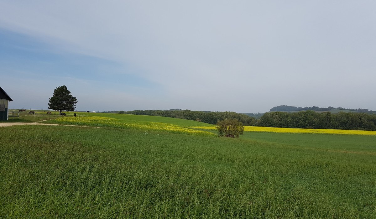 Ausblick über Felder und Koppeln zwischen Essingen und Hertmannsfeld, © Remstal Tourismus e.V.