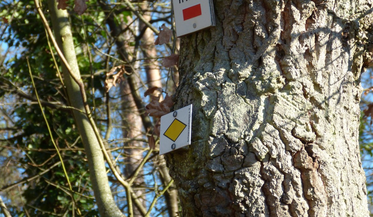 F25: Ca. 70 m unterhalb des Fernmeldeturms Hacksberg weisen die Hinweisschilder „Roter Balken HW5“ und „Gelbe Raute“ halb rechts auf einen Waldweg,der nach und nach bergab führt, © Natur.Nah. Schönbuch & Heckengäu