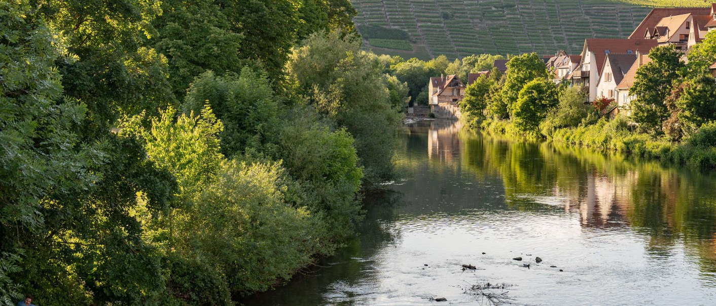 Besigheim Enz, © SMG, Martina Denker