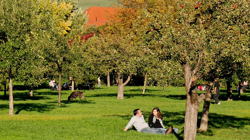 Pomologie Reutlingen, © Jörg Launer