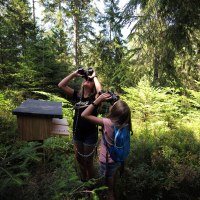 Kinder unterwegs auf dem Auerhahnsteig an einer der insgesamt 7 Stationen, © Nördlicher Schwarzwald