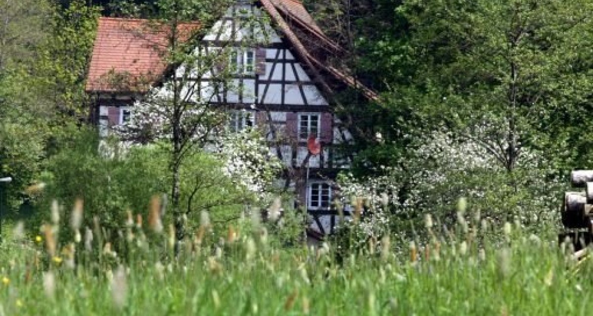 © Natur.Nah. Schönbuch & Heckengäu