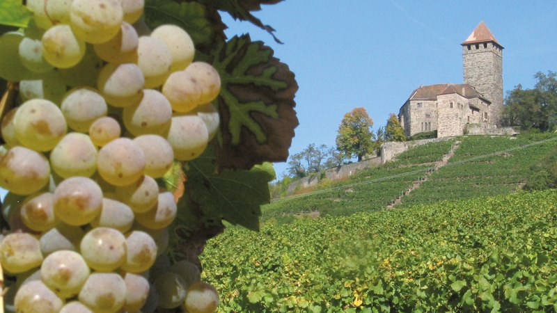 Burg Lichtenberg, © Stuttgart-Marketing GmbH