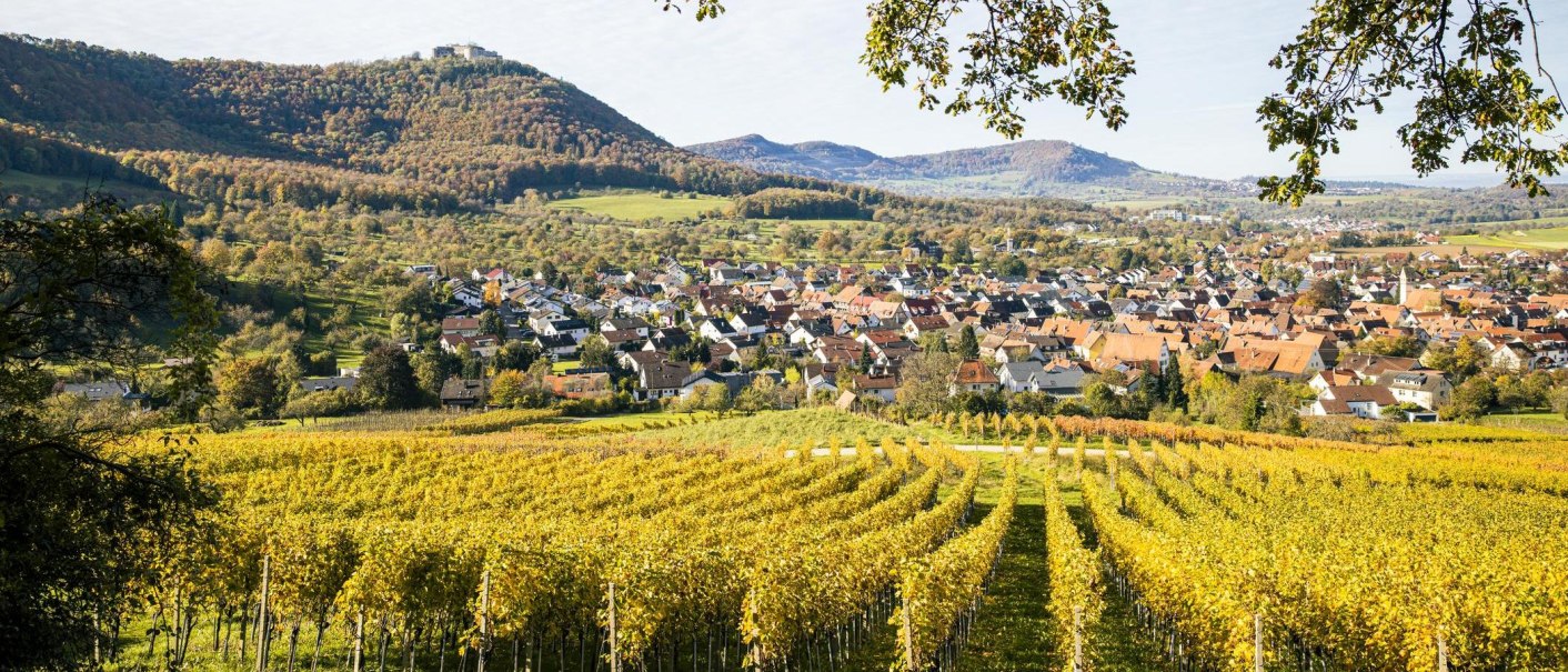 Blick auf Beuren durch die Weinberge, © SMG, Sarah Schmid