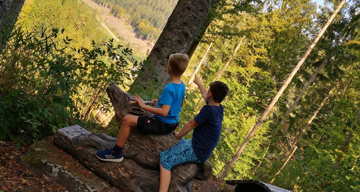 Wildis wilder Tausch-Schatz, © Nördlicher Schwarzwald