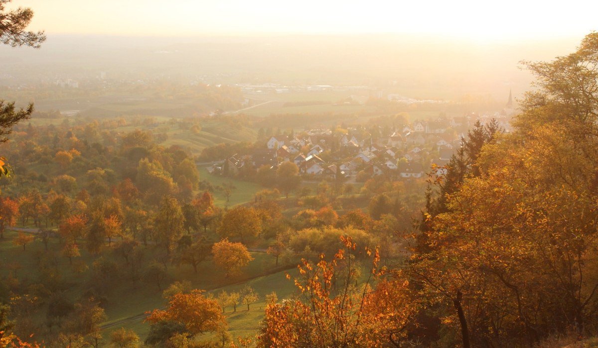 Impressionen LandTour SchönbuchTrauf, © Natur.Nah. Schönbuch & Heckengäu