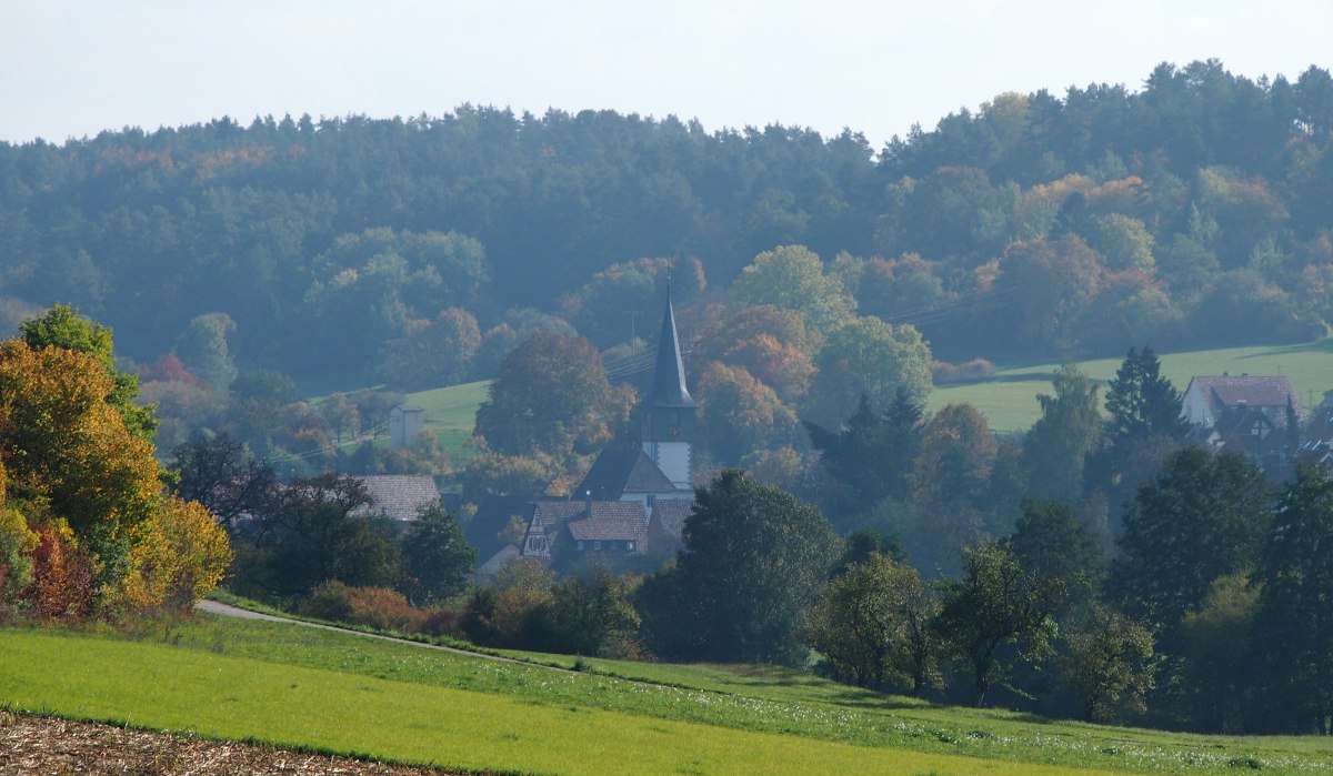 Blick zurück auf Dachtel, © Natur.Nah. Schönbuch & Heckengäu