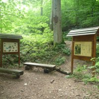 Naturlehrpfad Bad Urach, © Bad Urach Tourismus