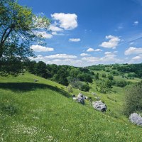 Landschaft im Randecker Maar