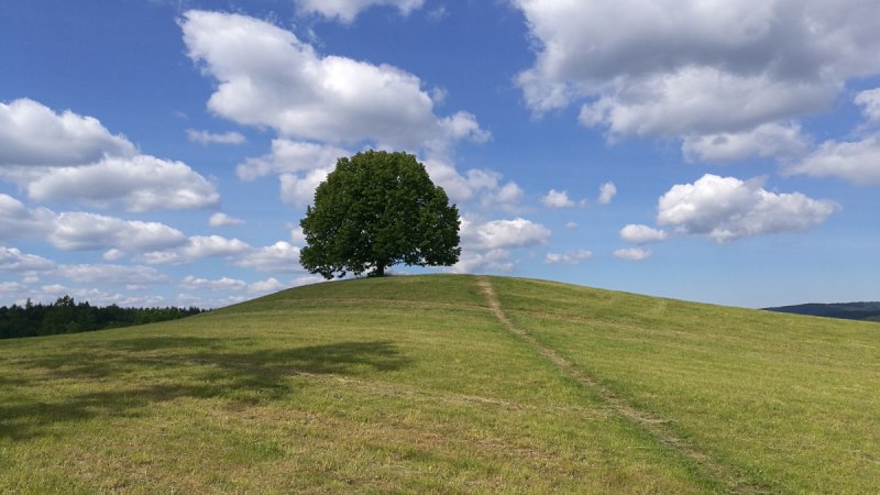 Der Weg führt am Felherrenhügel vorbei, © Bad Urach Tourismus